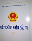 Giấy chứng nhận đầu tư điều chỉnh